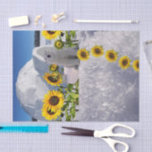 Zonnebloemkool, Beer Tissuepapier (Craft)