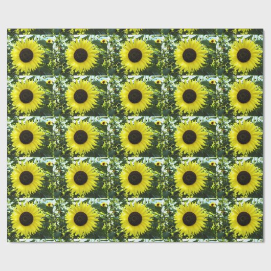 Zonnebloemkool, krulpapier cadeaupapier (Vlak)