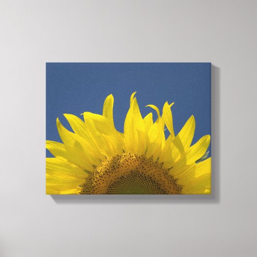Zonnebloemkweek Canvas Afdruk (Voorkant)