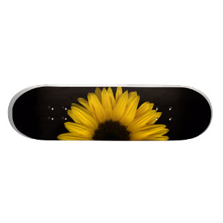 Zonnebloemkweekskateboard Pro Skateboard