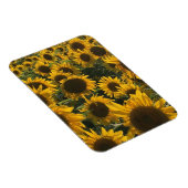 zonnebloemmagneet magneet (Rechterzijde)