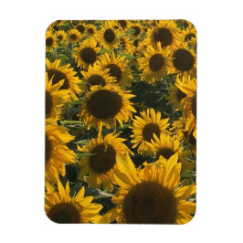 zonnebloemmagneet magneet