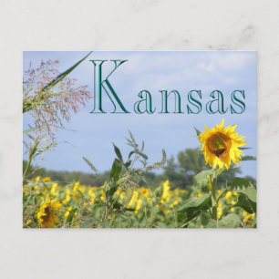 Zonnebloemmonarch Briefkaart
