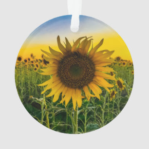 Zonnebloemornament Ornament