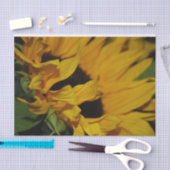 Zonnebloempakken Tissuepapier (Craft)