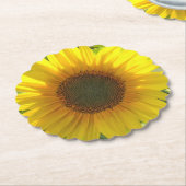 Zonnebloempit Kartonnen Onderzetters (Gekanteld)