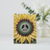 Zonnebloempitje Briefkaart (Staand voorkant)