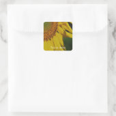 Zonnebloempitten - Bloem - Aangepast Vierkante Sticker (Tas)