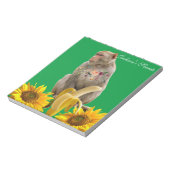 Zonnebloempitten, Notitieblokken van apen (Gedraaid)