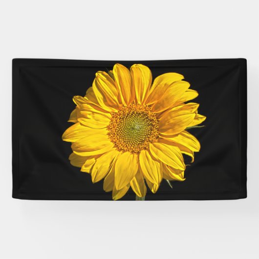 Zonnebloempitten Spandoek (Horizontaal)