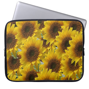 Zonnebloempitten voor Sleeve