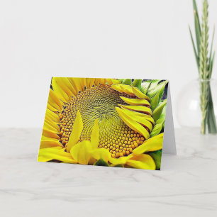 Zonnebloemscriptie Noot Kaart Psalm 84:11