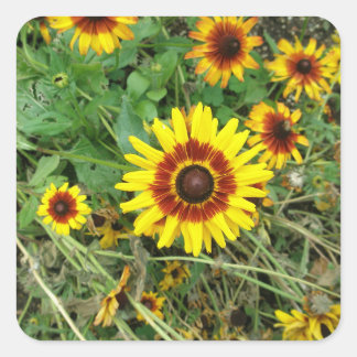 Zonnebloemstickers Vierkante Sticker