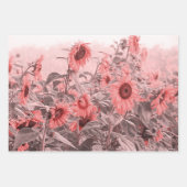 Zonnebloemveld  Blush roze grijze ontkoppeling Inpakpapier Vel (Voorkant)