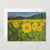 Zonnebloemveld Briefkaart (Voorkant / Achterkant)