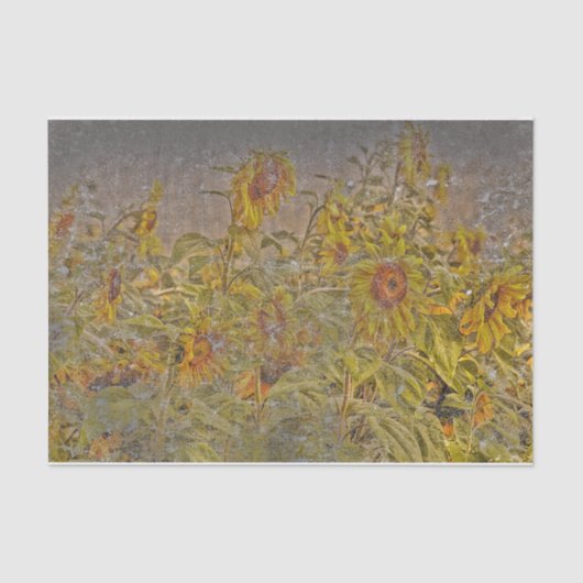  zonnebloemveld, helder geel, verteerd tissuepapier (Voorkant)