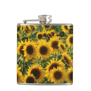 Zonnebloemveld Heupfles