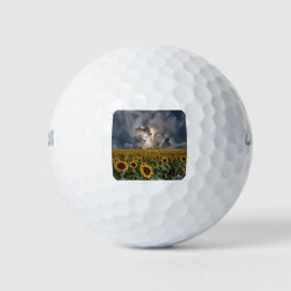 Zonnebloemveld in een Storm Golfballen