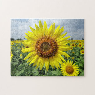Zonnebloemveld Legpuzzel