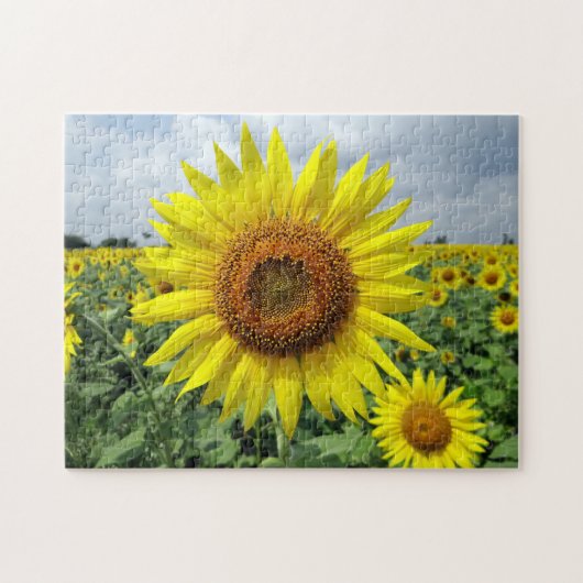 Zonnebloemveld Legpuzzel (Horizontaal)