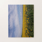 Zonnebloemveld Legpuzzel (Verticaal)