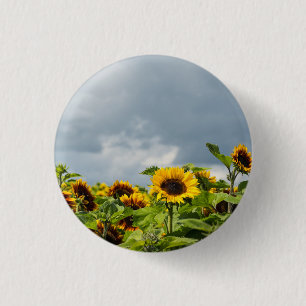 Zonnebloemveld magneet ronde button 3,2 cm