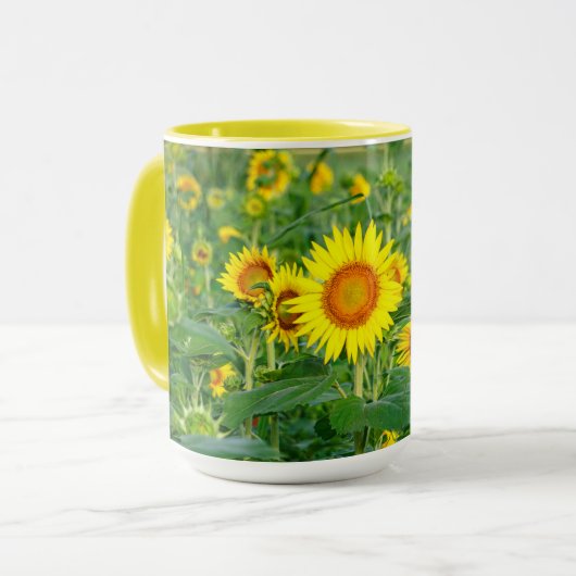 Zonnebloemveld Mok (Voorkant links)
