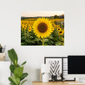 Zonnebloemveld Poster (Thuiskantoor)