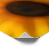 Zonnebloemveld Poster (Hoek)