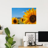 Zonnebloemveld Poster (Thuiskantoor)