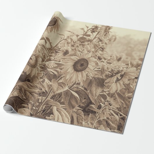 Zonnebloemveld Sepia Tone-ontkoppeling Cadeaupapier (Uitgerold)