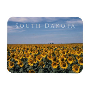 Zonnebloemveld, South Dakota Magneet