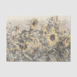 Zonnebloemveld Vintage Antieke Versleten Textuur Tissuepapier