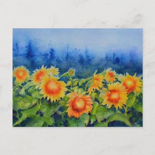 Zonnebloemvelden Briefkaart (Voorkant)