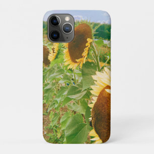 Zonnebloemvelden iPhone 11 Pro Hoesje