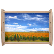 Zonnebloemvelden - dienblad