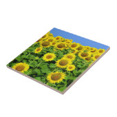 Zonnebloemvelden Tegeltje (Zijkant)