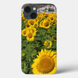 Zonnebloemvelden, witte heuvelstad Bornos iPhone 13 Hoesje