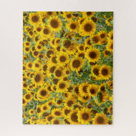 Zonnebloemveldpuzzel Legpuzzel