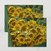 ZONNEBLOEMWAGEN BRIEFKAART (Voorkant / Achterkant)