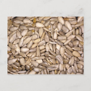 Zonnebloemzaad Briefkaart