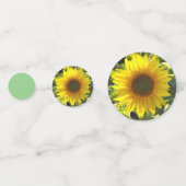 Zonnebloesensensatie Confetti (Achterkanten)