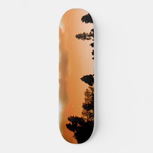 Zonnebomen Skateboard