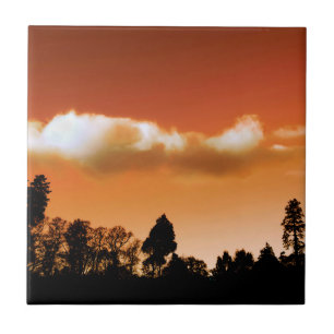 Zonnebomen Tegeltje