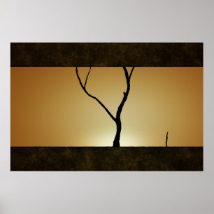 zonneboom poster