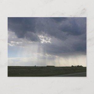 Zonneboomlandschap Briefkaart