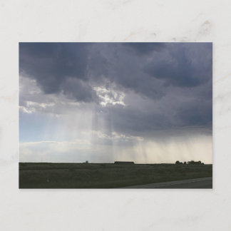 Zonneboomlandschap Briefkaart