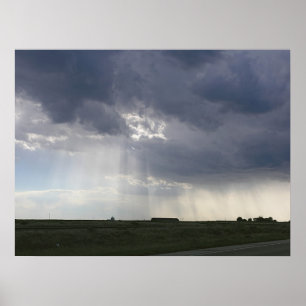 Zonneboomlandschap Poster