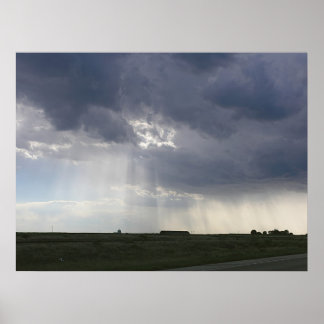 Zonneboomlandschap Poster