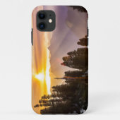Zonnebossen Case-Mate iPhone Case (Achterkant)